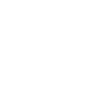 new animation